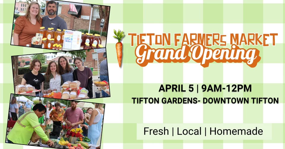 480890792_122161364252334629_3941349299748571975_n