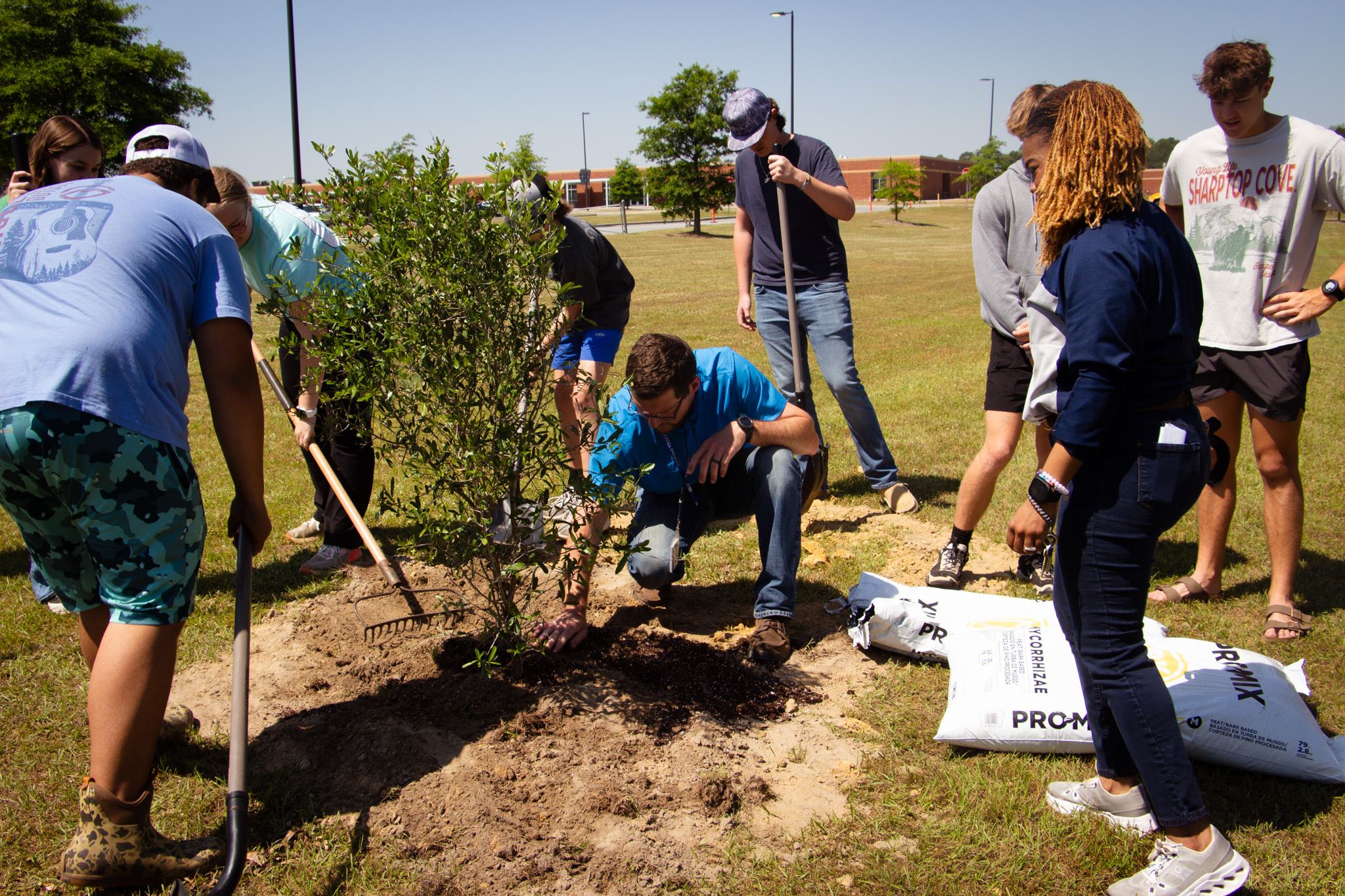 Tree Planting TCHS-8